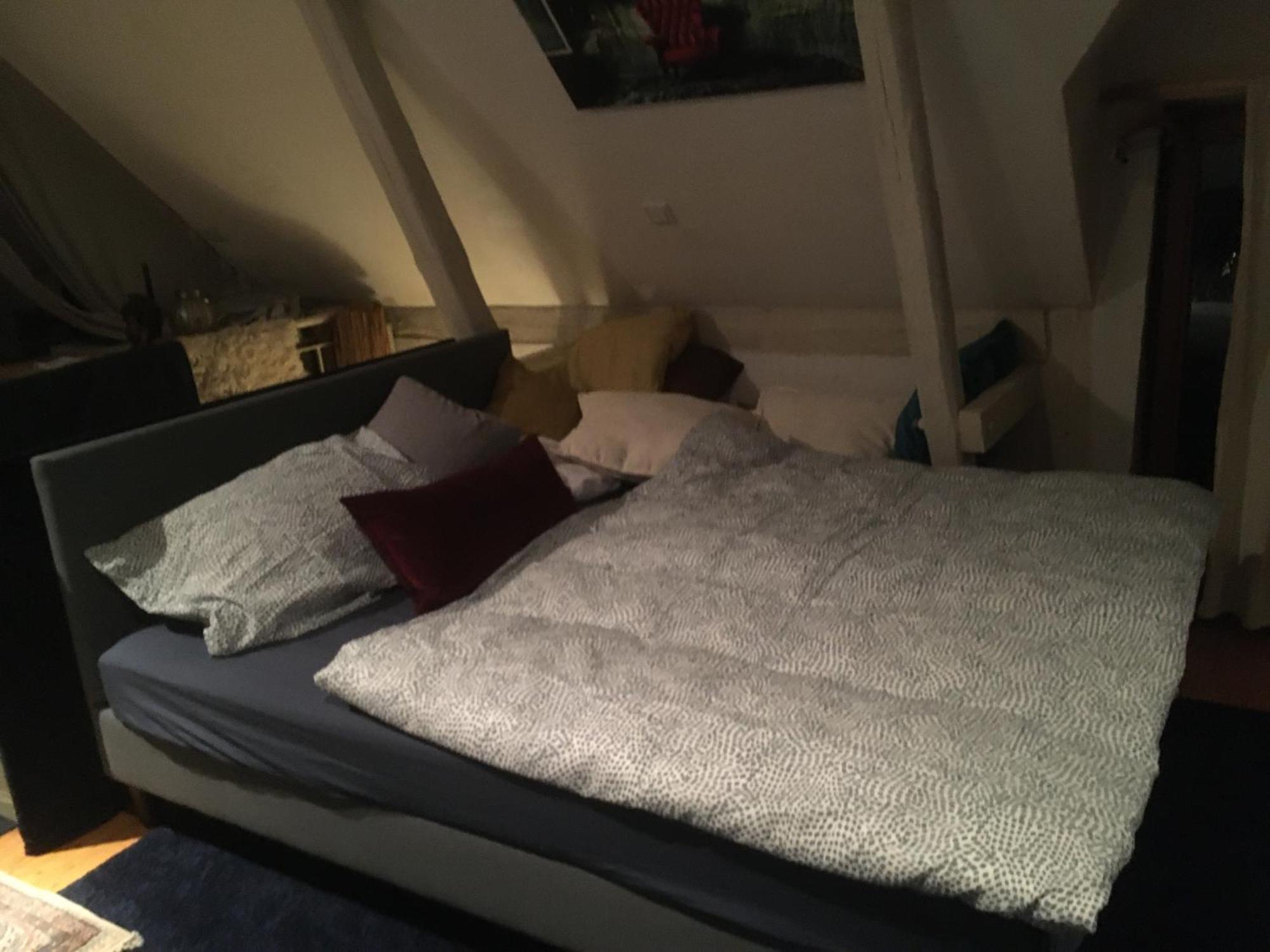 Grosse Hobbithoehle Mit Gemeinschaftsgarten Neustadt am Rübenberge Esterno foto