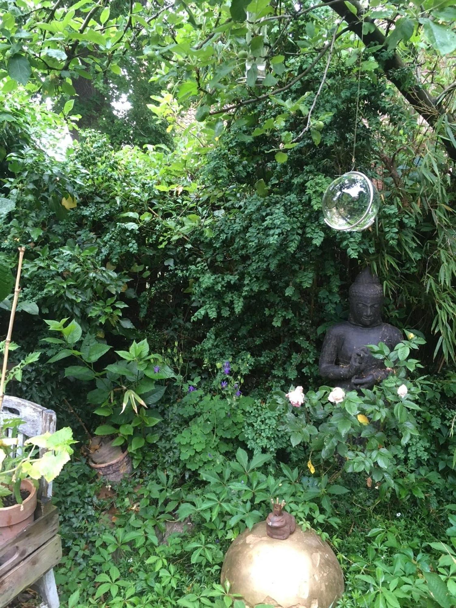 Grosse Hobbithoehle Mit Gemeinschaftsgarten Neustadt am Rübenberge Esterno foto